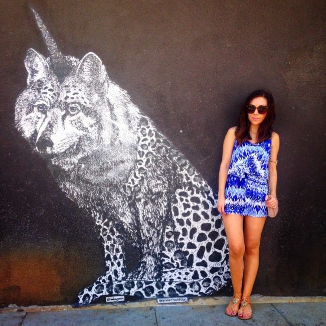 Blogger Nihan posing with the unicorn wolf cheetah mural in venice beach Los Angeles and showing her outfit, a blue iilim print romper