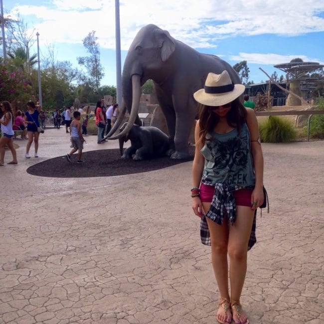 Blogger Nihan posing with Elephants and showing her outfit at the San Diego Zoo