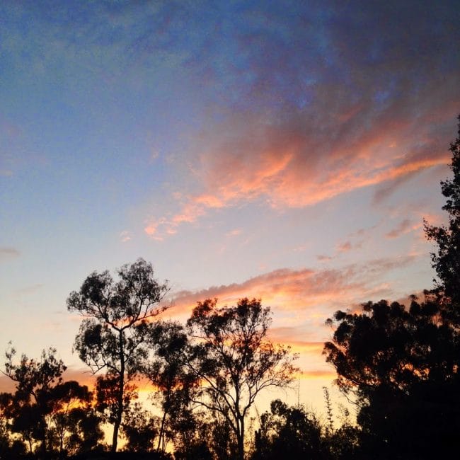 Sunset at the San Diego Zoo