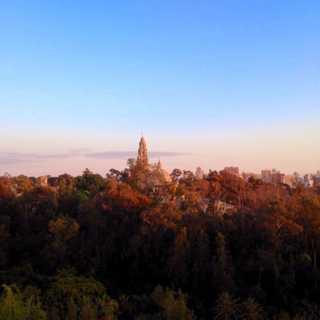 View of Balboa park from Skyfari at the San Diego Zoo