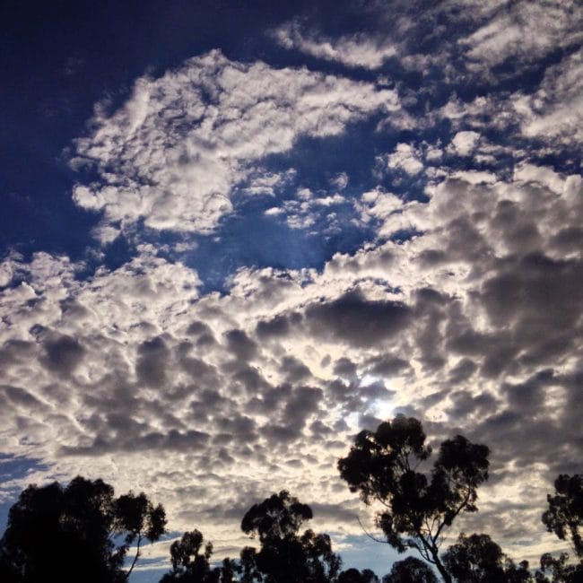 Gorgeous clouds at the San Diego Zoo