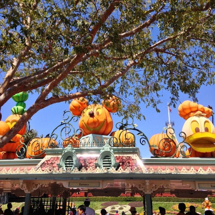 Entrance of Disneyland with decorations during Halloween