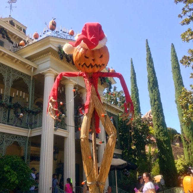 The 12 foot high Jack-O-Lantern right in front of Haunted Mansion decorated for Halloween for Disneyland Halloween Time