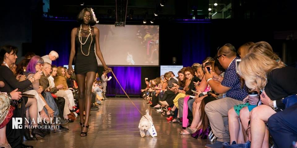 Model and a cute puppy from Rancho Coastal Humane Society walking down the runway on Fashion Week San Diego 2014 Night 2