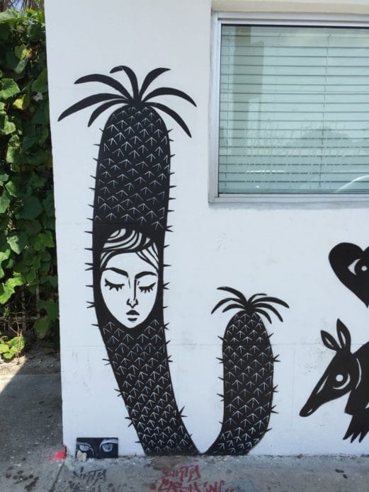 Black and white cactus mural in Wynwood Walls, Miami Black and white cactus mural in Wynwood Walls, Miami