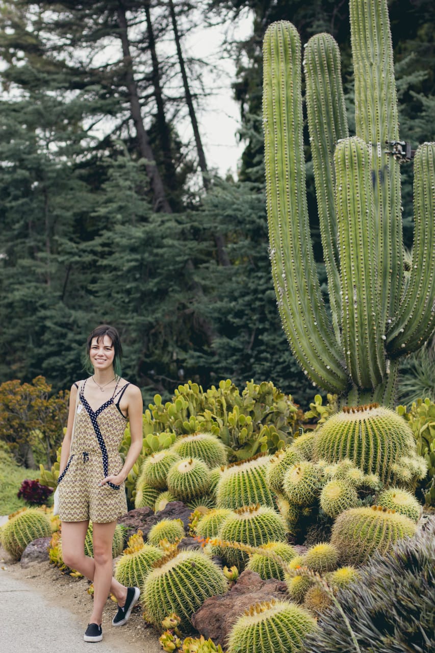 Huntington Library & Gardens
