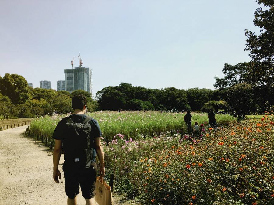 Hamarikyu Gardens Tokyo Japan