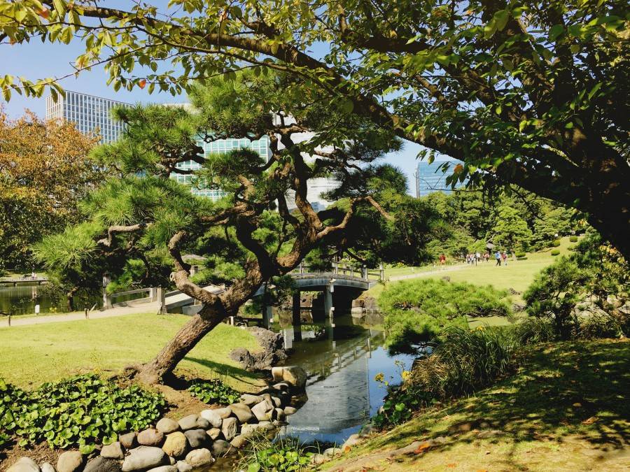 Hamarikyu Gardens Tokyo Japan