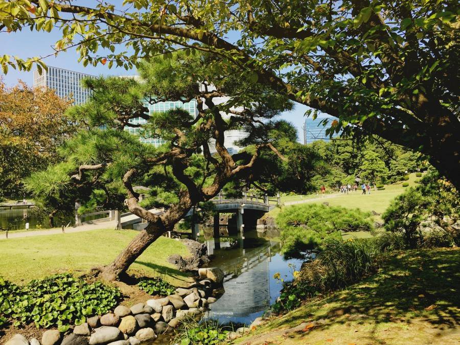 Hamarikyu Gardens Tokyo Japan