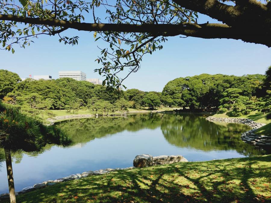 Beautiful Hamarikyu Gardens Tokyo Japan