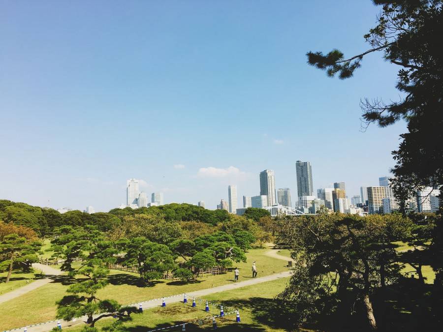 Hamarikyu Gardens in Tokyo