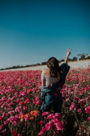The Most Instagrammable Place San Diego in Spring: The Flower Fields in Carlsbad