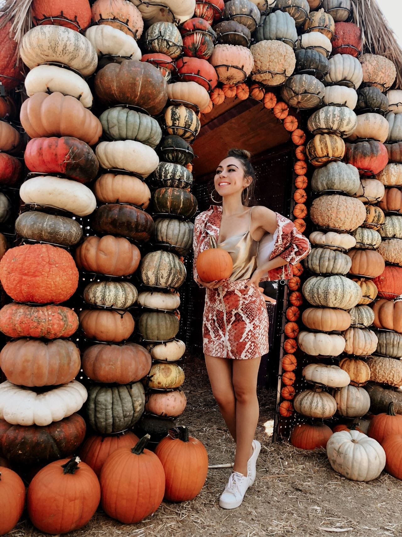 Mr Jones Pumpkin Patch Los Angeles
